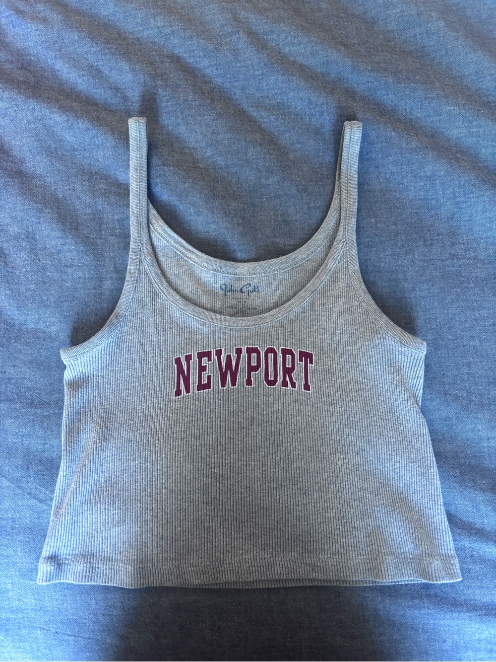 Brandy Melville John Galt Grey Newport Ribbed Tank Top